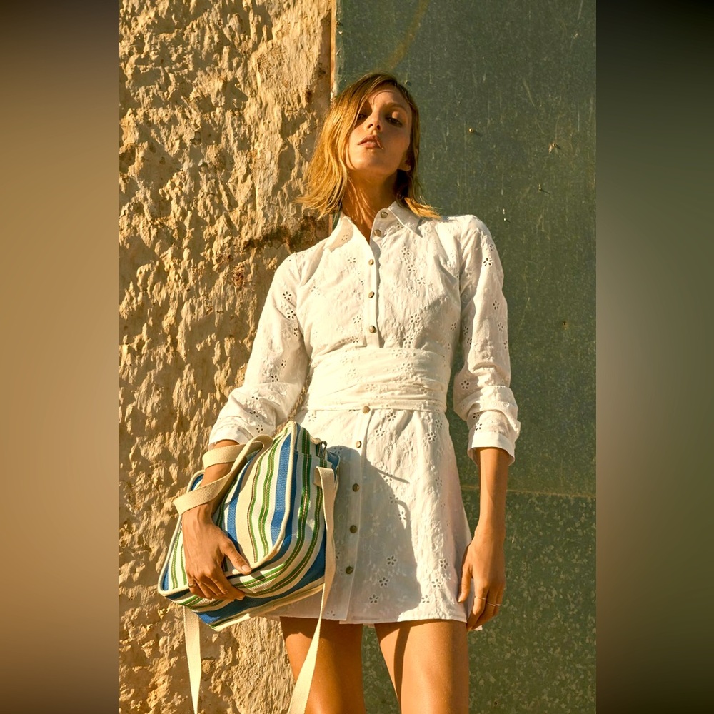 Zara openwork Embroidered Mini Dress